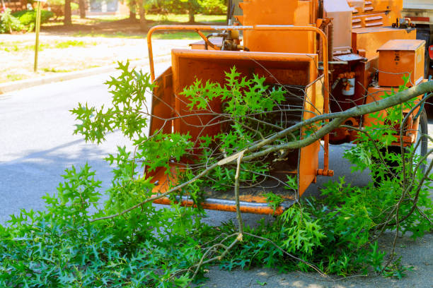 Mulching Services in Taylor, MI